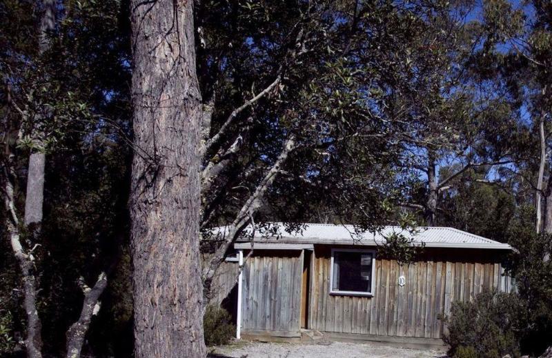 Discovery Parks - Cradle Mountain Accommodation Екстериор снимка